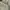 Carhartt Vintage Y2K Hoody Pria green photo 6