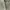 Carhartt Vintage Y2K Hoody Pria green photo 5
