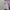 Earth, Music & Ecology Vintage Casual Cardigan Pria white blue photo 1