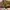 Gucci Luxury Avant Garde Bags & purse Wanita brown photo 3