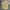 Streetwear Casual Casual shirt Pria yellow photo 1