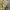 Streetwear Casual Casual shirt Pria yellow photo 4