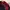 Elstinko Casual Hat Kids red photo 6