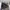 The North Face Casual Track jacket Pria gray photo 1