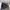 The North Face Casual Track Jacket Pria Gray