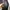 The North Face Casual Track jacket Pria gray photo 8