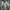 DANPOL Vintage Casual Windbreaker Pria cream photo 1
