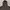 Burberry Luxury Casual Windbreaker Pria black photo 8