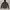 Burberry Luxury Casual Windbreaker Pria black photo 1