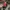 MLB Casual Hat Pria red black photo 1