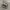 VANS Streetwear Skater Sneakers Pria white black photo 3