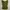 Egoist Y2K Casual T-shirt Wanita green photo 1