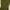 Egoist Y2K Casual T-shirt Wanita green photo 6