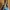 ZARA Coquette Bags & Purse Wanita Blue