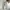 GU Casual Casual pants Pria cream photo 5