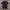 Giordano Streetwear Avant Garde Polo shirt Pria black photo 1
