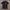 Giordano Streetwear Avant Garde Polo Shirt Pria Black