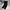 The North Face Gorpcore Casual Tracksuit Pria black photo 1
