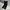 The North Face Gorpcore Casual Tracksuit Pria black photo 2