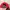 Casual Hat Pria red photo 3