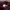 Beanpole Casual Hat Pria burgundy photo 6