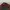 Beanpole Casual Hat Pria burgundy photo 5