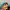 Elstinko Casual Hat Pria multicolor photo 7
