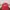 Beverly Hills Polo Club Casual Hat Pria red photo 1