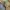 Carhartt Vintage Casual Pria brown photo 2