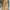 Carhartt Vintage Casual Pria brown photo 5