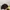 Casual Hat Pria black yellow photo 3
