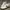 Nike Vintage Casual Sneakers Pria white black photo 1