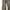Vintage Y2K Flare pants Wanita gray photo 3