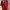 Vintage Sportswear Jersey Pria red photo 1