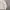 Streetwear Hoody Pria white photo 4