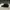 Balenciaga Streetwear Luxury Hat Pria black photo 3