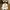 Crocs Streetwear Casual Sandals & slide Pria white photo 3