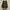 VANS Casual Casual shoe Pria black photo 6