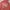 Stussy Streetwear Sweatshirt Pria pink photo 1
