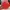 Kate Spade Casual Crossbody Bag Wanita Red