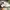 Converse Streetwear Sneakers Pria White Black