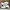 Converse Streetwear Sneakers Pria white black photo 2