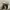 Converse Streetwear Casual Sneakers Pria multicolor photo 2