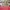 Kate Spade Luxury Minimalist Tote Bag Wanita Tan