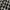 Streetwear Skater Casual shirt Pria black gray photo 3