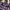 Y2K Emo Shirt Wanita purple photo 2