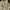 Vintage Emo Vest Wanita tan cream photo 3