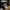 The North Face Sportswear Hat Pria white black photo 4