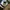 The North Face Sportswear Hat Pria white black photo 2