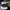 The North Face Sportswear Hat Pria white black photo 1